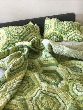 the company store full /queen quilt set